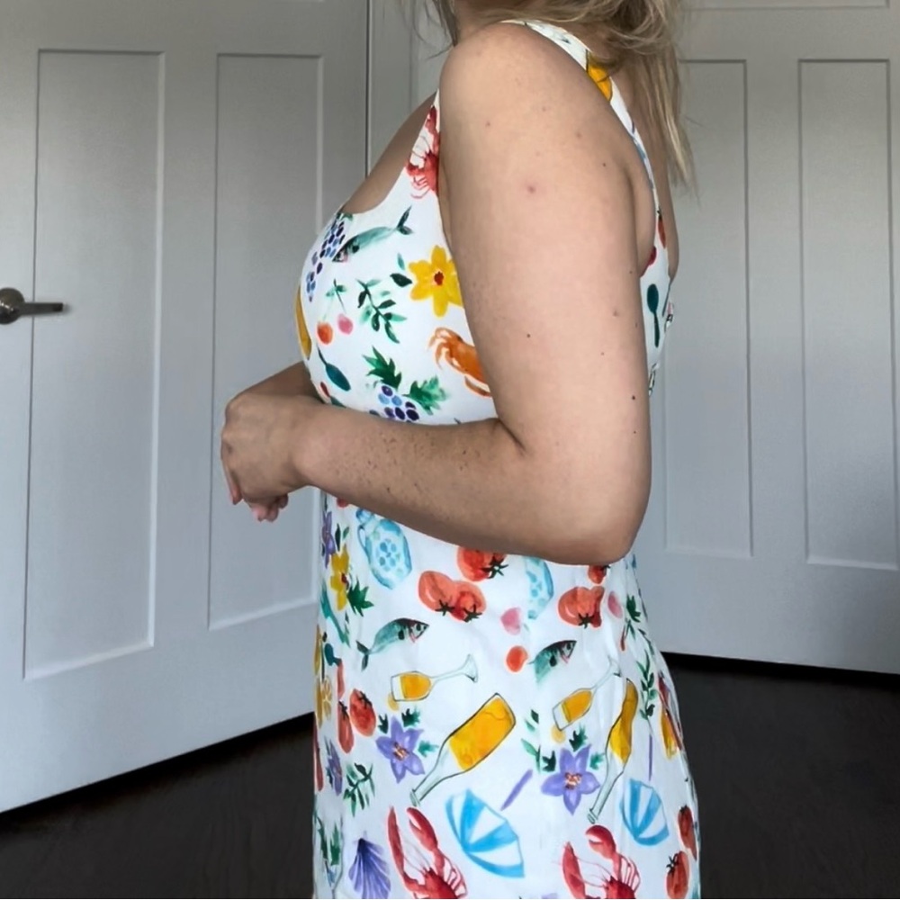 Show Me Your MuMu Italian Picnic Dress